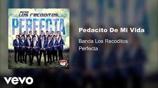 Banda Los Recoditos - Pedacito De Mi Vida (Audio Oficial)