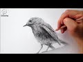 연필화 드로잉 동물소묘 그림그리기 새 how to draw animals bird drawing woo