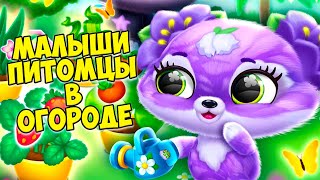 🥰ПУШИСТИКИ - МИЛАШКИ малыши😸ОБНОВЛЕНИЕ😸Огород  Fluvsies