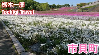 （16）【栃木一周】芝ざくら公園を中心に観光してきた！【市貝町】