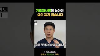 💥기초대사량 높이는 방법이⚡️살찌지 않는 방법입니다🚨