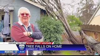 Chico homeowner wakes to tree on roof after early morning crash