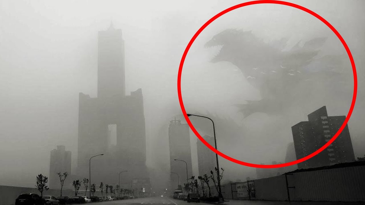 Godzilla Characters Caught On Camera Spotted In Real Life 51 Off Godzilla Characters Caught On Camera Spotted In Real Life 51 Off