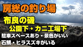 房総の釣り場、布良の地磯、公園下とカニ工場下、大自然の絶景のなかヒラスズキ・石鯛が釣れる場所。駐車スペースありでそれほど歩かない場所にポイントがある。岩場は険しいのでスパイクシューズで。