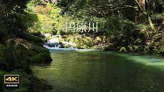 4K video + natural environmental sounds ASMR / Enbara River flows quietly at the end of summer