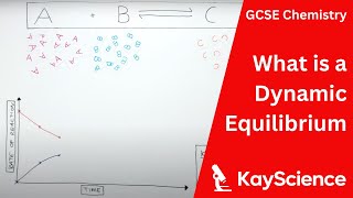 What Is Dynamic Equilibrium - GCSE Chemistry | kayscience.com