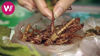 Die Insektenköchin von Bangkok