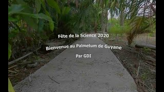 Visite virtuelle du Palmetum de Guyane