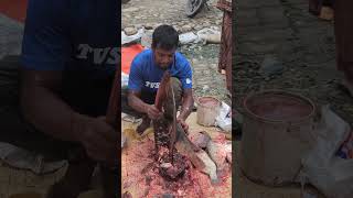 AMAZING FISH CUTTING SKILLS 81