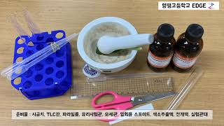 [양평고 EDGE] TLC 크로마토그래피 실험