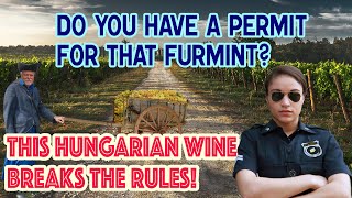 Time to Taste a Hungarian Furmint Wine - Dry and Delicious!