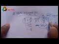 প্রকৃত ভগ্নাংশের গুন multiplication of fraction basic math s mathematics