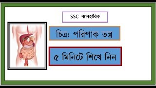 চিত্র: পরিপাকতন্ত্র(DIGESTIVE SYSTEM )