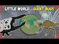 Little World, Giant Bugs - Orbis Pogona