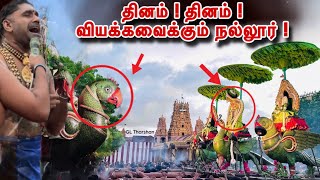 தினம் ! தினம் ! வியக்கவைக்கும் நல்லூர் 😱 ! இப்படி எல்லாம் வாகனங்கள் வேறு எங்கும் இல்லையாம் 😱 #jaffna