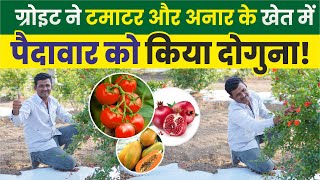 ग्रोइट ने टमाटर और अनार के खेत में पैदावार को किया दोगुना | #growit | Paomegranate | Tomato | Yield