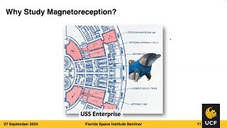 Animal magnetoreception: sensory mechanisms and metazoan magneto- microbiome