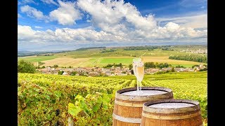 Champagne Tour from Reims France