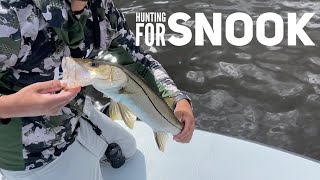 Successful FISHING at TEN THOUSAND ISLANDS Florida, Snooks, Snapper, Spotted Trout