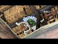 【4k動画】【城跡に建つ地侍後裔の庄屋屋敷～中崎家住宅 茨城県水戸市 】元禄元年 1688 建立と伝えられ、主屋と土間が接して建てられる別棟造りの形式を残す貴重な遺構。国指定重要文化財。