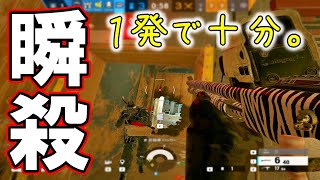 【R6S】使いこなせば最強のショットガン。　pc版 レインボーシックス シージ　RAINBOWSIX SIEGE　実況