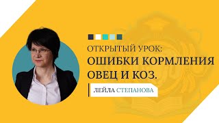 Правильное кормление овец и коз: от ошибок к прибыли!