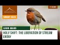 Holy Shift: the Liberation of Stream Entry | Ajahn Amaro | 17.10.2021