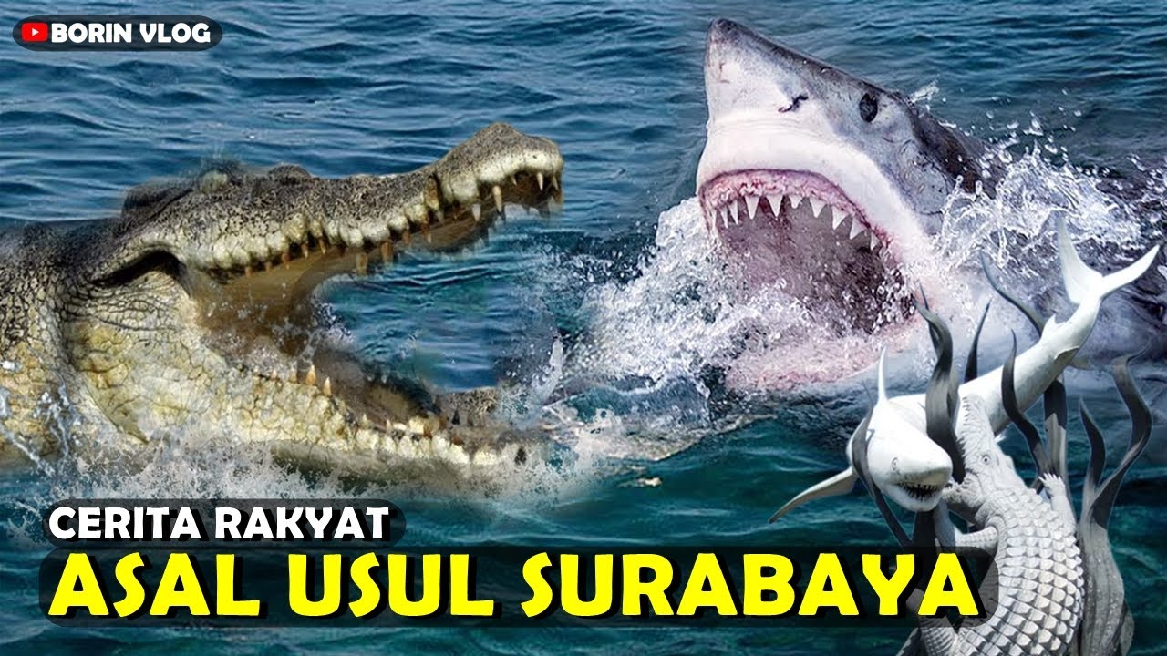 Asal Usul Surabaya - Dongeng Legenda Sura VS Baya - YouTube