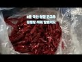 2물 국산 녹각 청양고추 껌음망 쒸워 말려 색 향 맛 진해요