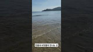 민물과 바닷물이 만나는 곳