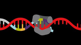 Accelerate your assay development with Custom Commercial Supply by Thermo Fisher Scientific