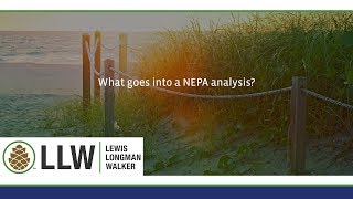 What goes into a NEPA analysis?