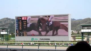 福島競馬場で見た第145回天皇賞・春（ビートブラック）