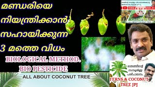 തെങ്ങിലെ മണ്ഡരി ശല്യം എന്താണ് പ്രതിവിധി..? PART :- 3. BIOLOGICAL METHOD/ HOW TO CONTROL COCONUT MITE