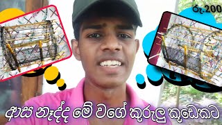 දැල් ගහපු ලී පට්ටම් වගේද මේක | make bird cage at home