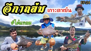 ฝูงอีกาดำถล่มเกาะตาเย็น ..ไต๋แหลม(EP.24)