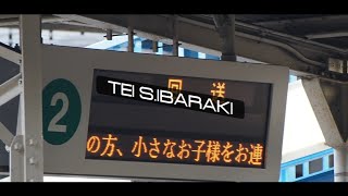 TEI S.IBARAKi