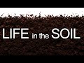 Life in the Soil