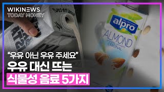 “우유 아닌 우유 주세요” 우유 대신 뜨는 식물성 음료 5가지