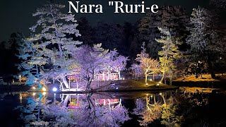 I invite you to a night in Nara.