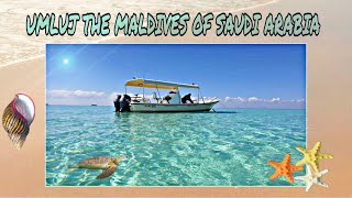 UMLUJ THE MALDIVES OF SAUDI ARABIA | AMAZING PLACE | CLEAR SEA WATER | TRAVEL VLOG | MIDDLE EAST |