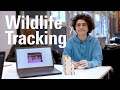 Smart Environments for Wildlife Tracking - CreaTe — Module 2