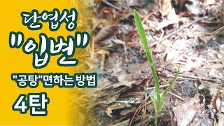 난초산행에서 \