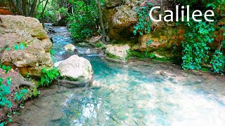 Relaxing Galilee. The Unbelievable Beauty of Nature. Amud Stream Nature Reserve