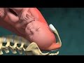Normal Vaginal Childbirth Normal Vaginal Childbirth