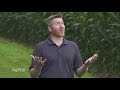 pre emerge herbicides for fall seeded crops from ag phd 1114 air date 8 11 19