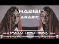 mutlu temiz habibi arabic remix