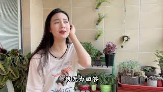 一首伤感情歌《让爱回到陌生》好听走心，深情演唱听醉了