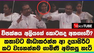 විපක්ෂය අලියගේ කොටසද අතගෑවේ? කතාවට බාධාකරන්න ආ දයාසිරිට කට වැහෙන්නම ගාමිණී‍ අමතපු හැටි