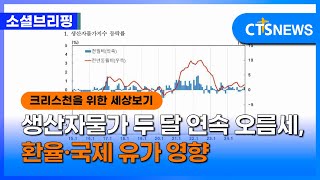 [소셜] 경제ㅣ생산자물가 두 달 연속 오름세, 환율·국제 유가 영향 (이한승)ㅣCTS뉴스